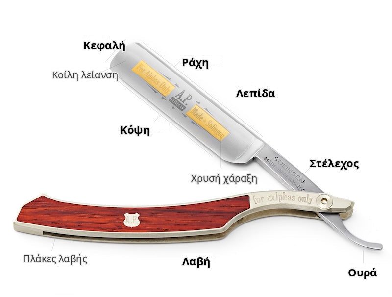 A.P. Donovan straight razor anatomy A.P. Donovan straight razor anatomy