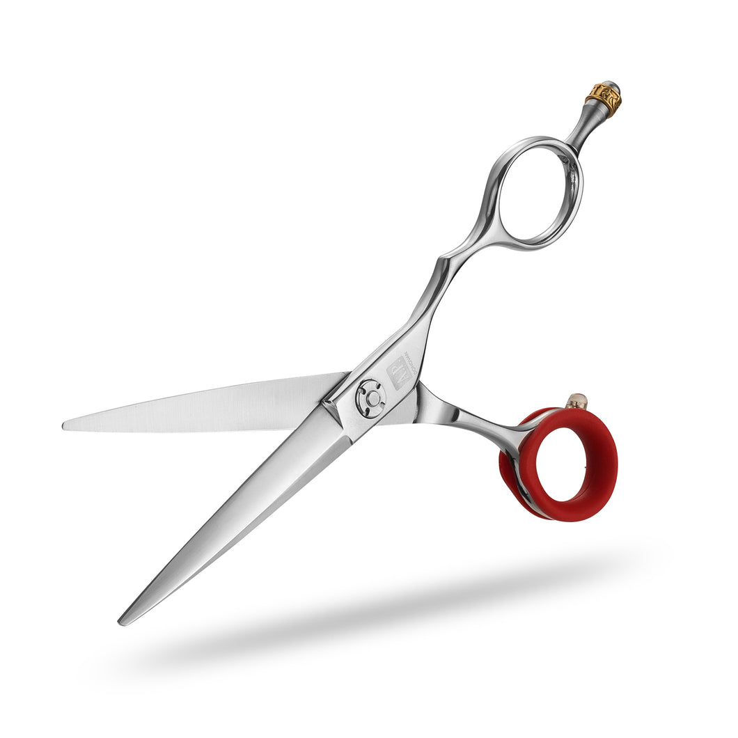 Scissori/parrucchieri per capelli - 5,5 