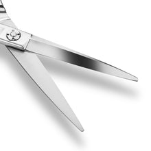 Carica l&#39;immagine nel visualizzatore di Gallery, Scissori/parrucchieri per capelli - 5,5 &quot;argento