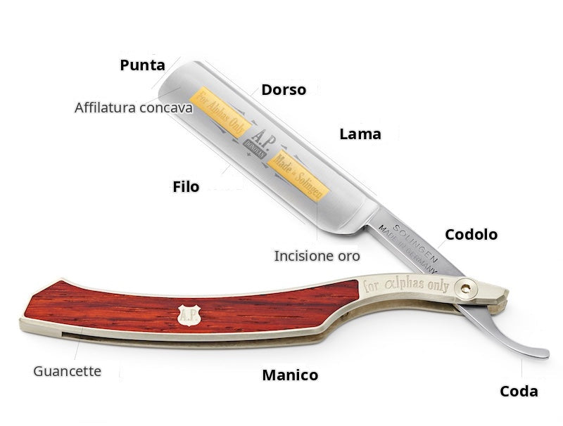 A.P. Donovan straight razor anatomy