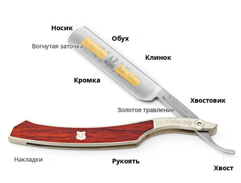 A.P. Donovan straight razor anatomy
