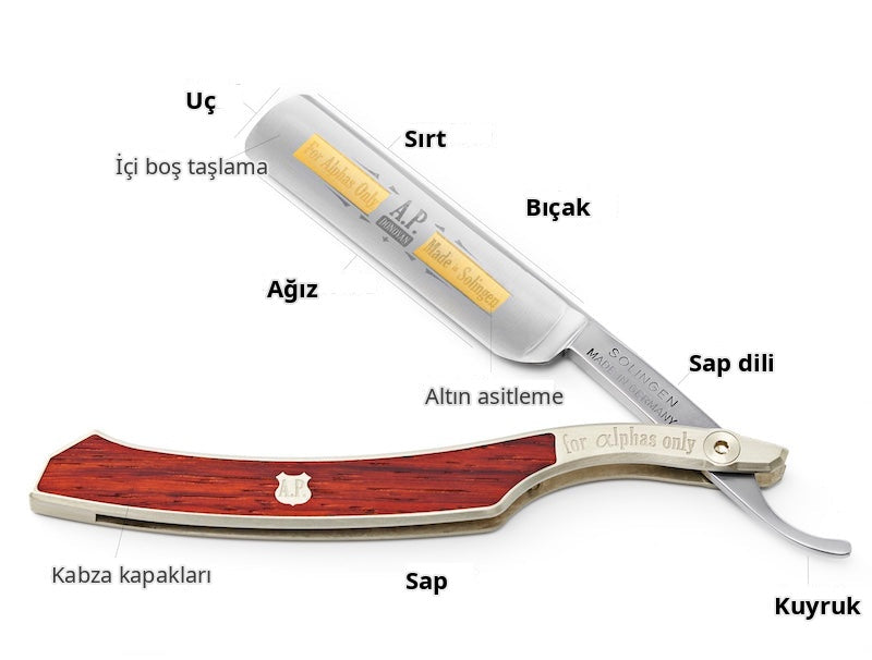A.P. Donovan straight razor anatomy